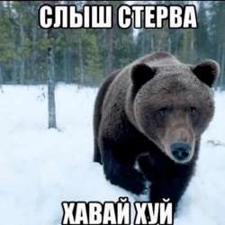 9cd8a73a87fed61532742b50e6e1ae22.jpg