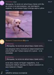 9898.png