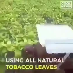 asfss.mp4