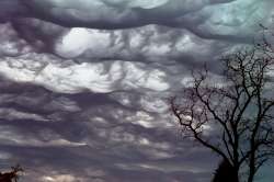 Stratocumulusstratiformisopacuslacunosusundulatusasperitas.jpg