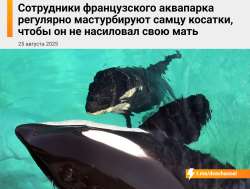 IMG20250825155739690.jpg