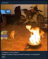 1756129160201.png