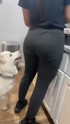 16446621338900.webm