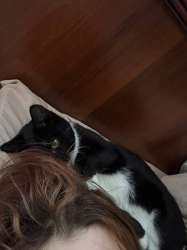 IMG20250827172813459.jpg