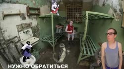17536089861440.mp4