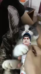 ломкабезвовикавшапке.mp4