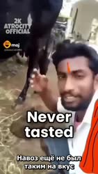 17536945880270.mp4