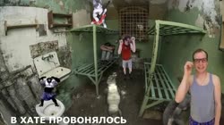 17536089861440.mp4