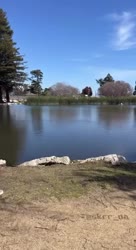 1731182298360.mp4