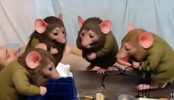 потец.mp4
