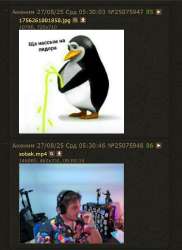 17560431525980.jpg
