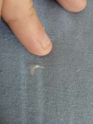 IMG20250827150358.jpg