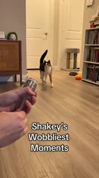 1756310322505.mp4