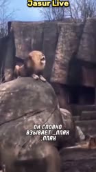 1756316100798.mp4