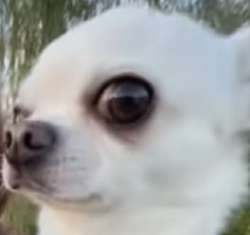 17561190196250.png