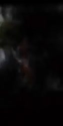 VID20250827190333759.mp4