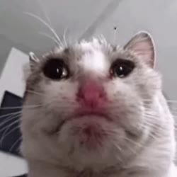 sad.webm