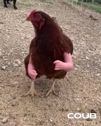1647402698594.mp4