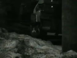16797374081620.webm