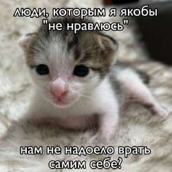 1756325511674.jpg