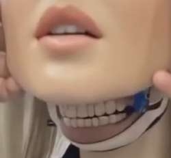 1756332805234.jpg