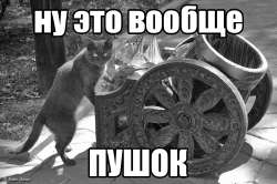 1318991222729.jpg