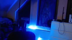 VID20250828214930581.mp4