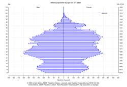 Population by age in 2020.png
