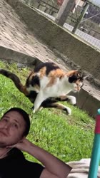 17044837482650.mp4