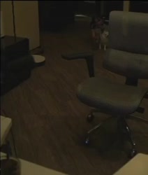 17563911298731256.mp4