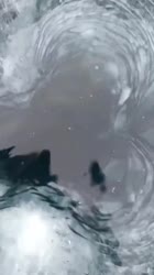 1692031842556.mp4