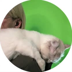 video.mp4