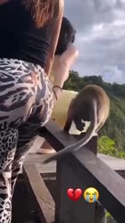 1754706410129.MP4