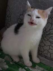 image.png