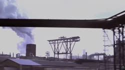 17564920570651.mp4