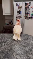 1756471638350.mp4