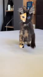 threadsdownloader.com31b457.mp4