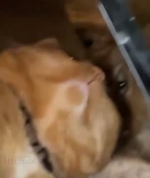 16579325763.mp4