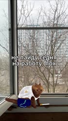 1756540245193.mp4