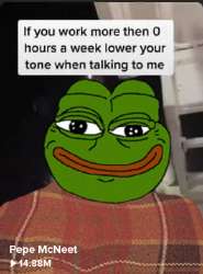 .jpg