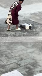 17565457873740.mp4