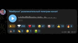 3.mp4