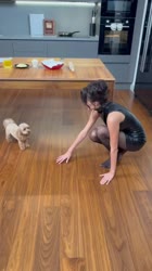 video-229343690456240459-480.mp4