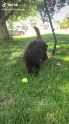 17009719856560.mp4