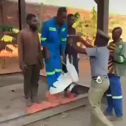 17566224928382[1].mp4