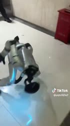 1609462049623.mp4