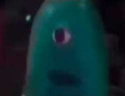 images.jpg