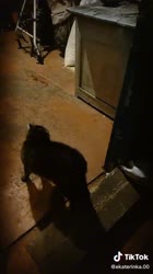 1670704660871.mp4