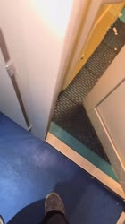 54.mp4