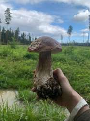 IMQH68FYDpxJA3aY7JIylZpdqskKfUP0TIDNaQVG7QN1vVpLSRZ1eLuedyEKdLEd57hTtyr7Y1ClbolITBPbT.jpg